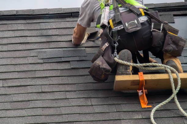 Best Chimney Flashing Repair  in Lakin, KS